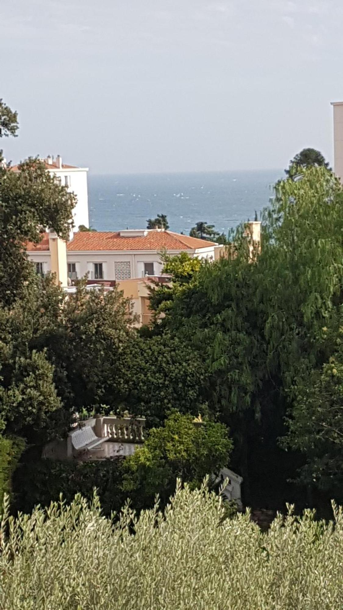 Les Palmiers A 700M De La Mer 尼斯 客房 照片