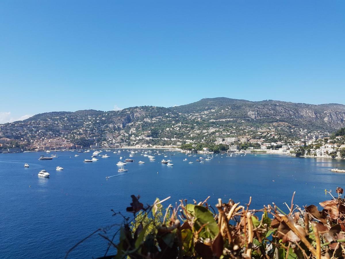 Les Palmiers A 700M De La Mer 尼斯 外观 照片